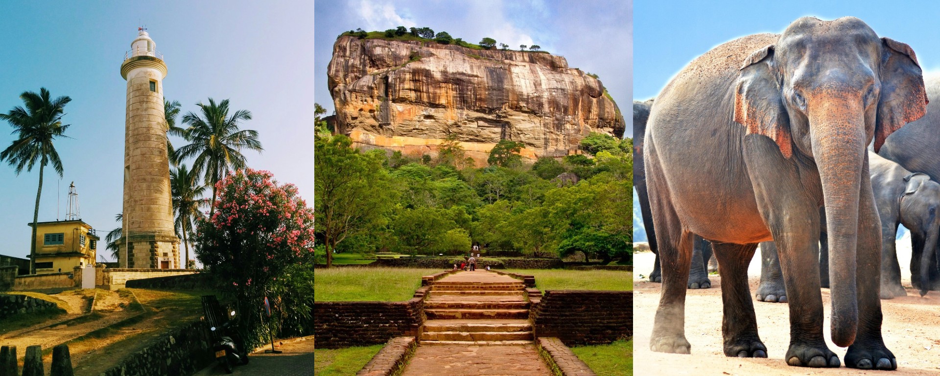 collage of Sri Lankan sites